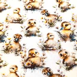Cute ducklings - Zelected By ZannaZ