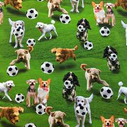Hundar med fotboll - Trikåtyg