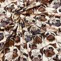 A lot of Pugs - Zelected By ZannaZ