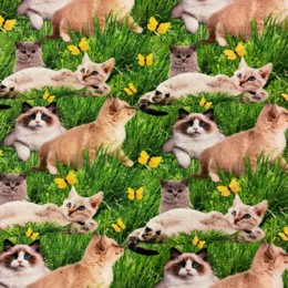 Katter i gräset - Created By ZannaZ
